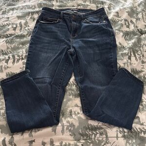 Judy Blue Skinny Jeans in Classic Blue